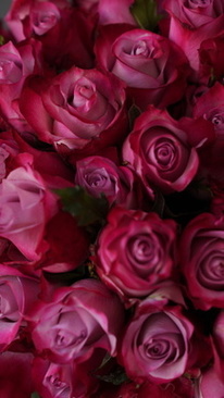 迎亲整蛊新郎的招数 结婚那天，可以整蛊新郎的招数有那些？