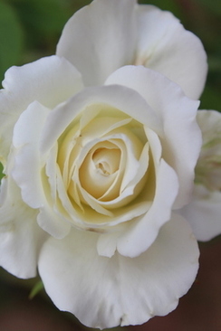 安床时床上要放些什么 新床需要铺哪些床上用品？从下往上的顺序