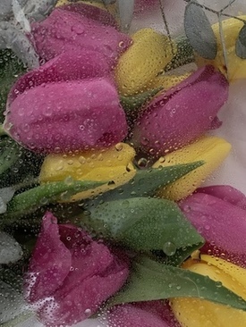 婚礼现场表演 婚礼上表演节目