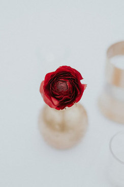 时尚新娘赵丽颖