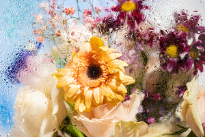 合肥市婚车租赁公司 合肥锦尚缘婚礼策划服务有限公司怎么样？