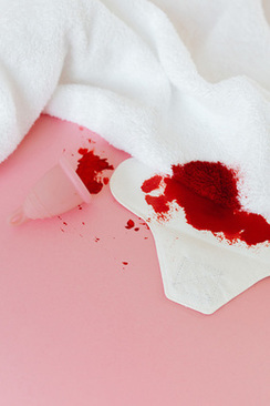 餐桌上摆什么样的花比较好 餐桌上摆放什么花最好