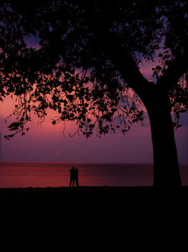 结婚证的照片 结婚证照片能自己照吗