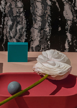 南京金陵晶元大酒店到中山陵 金陵晶元大酒店在哪站