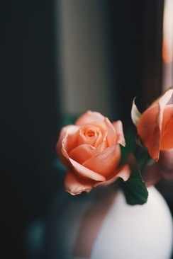 接新娘的祝福语怎么说 乡村接新娘过礼的祝福语