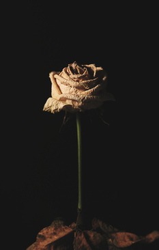 什么歌用电音好听 强烈推荐好听的电音歌曲有哪些?