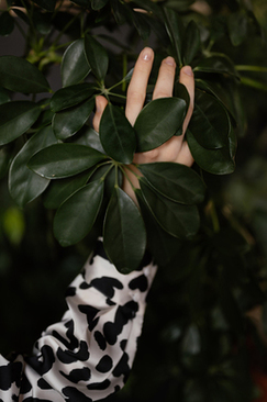 男方提前多久订婚庆比较好 一般要在婚礼前提前多久联系婚庆