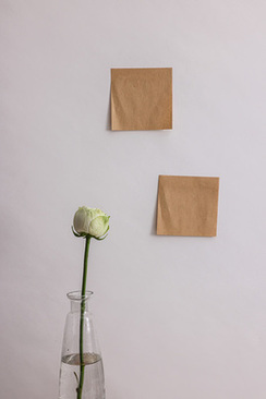 紫色和粉色搭配好看吗 紫色和粉色搭配吗