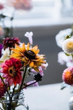 订婚宴谁坐主位 什么叫酒席中的主位是哪个位置叫主位？