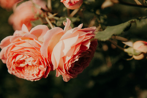 流沙笔怎么用 流沙笔怎么换笔芯？