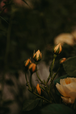 结婚送礼是送给爸妈还是新人 结婚礼金归新人还是父母