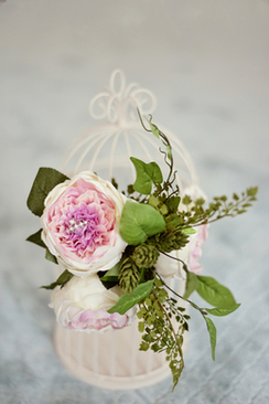 关于幸福是什么采访开场白 我是一名主持人,急需一个关于幸福的开场白