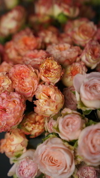 现在结婚证在哪办理 结婚证一般在哪里办理