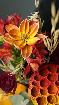 新娘姐妹团口号 新娘子姐妹团口号怎么起