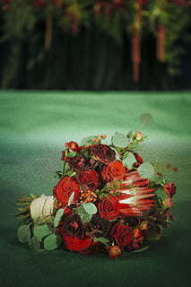 农村冬天太冷伴娘穿什么好 冬天当伴娘穿什么衣服好啊?