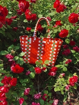 婚车在高速上会堵车掉花 婚车上高速花怎么办