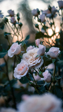 广州办婚礼多少钱 现在广州办一场婚礼大概需要多少钱？