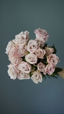 披着的头发怎么戴头纱 新娘头纱怎么戴(固定)图解