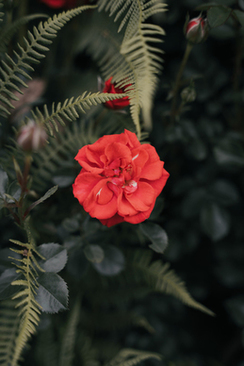 婚庆布置背景墙图片