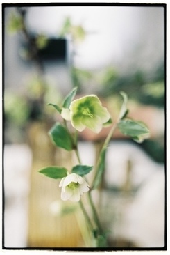 像冰袖的半指手套