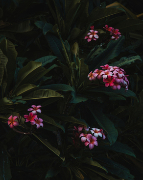 红色敬酒服搭白色披肩 红色长敬酒服搭什么颜色的披肩比较好看