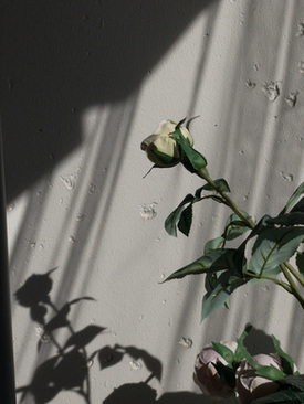 新郎新娘要不要戴胸花 结婚仪式上新郎新娘需要带胸花么