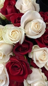 补办结婚证需要拿什么证件 民政局补办结婚证需要带什么证件？