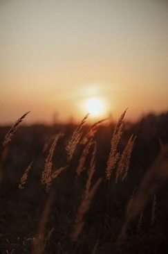 男方送彩礼说什么 男方送彩礼说什么