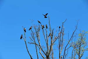 结婚对碗放哪里 结婚时新房里的碗筷放在什么位置?