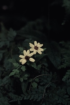 结婚新郎新娘需要准备什么 结婚当天新郎需要带哪些东西