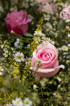 婚纱照选衣服要试穿吗 婚纱照选衣服可以试吗 拍婚纱照如何选衣服