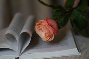 订婚给女方买什么衣服 订婚男方要给女方买新衣服吗