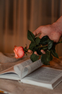 新郎爸爸领结什么颜色 领结颜色有什么讲究?