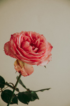 乔迁之喜邀请函怎么写 乔迁之喜邀请函怎么写?