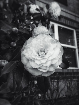 成都酒席多少钱一桌 办酒席，一般的酒店，要多少钱一桌