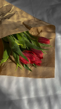 伴娘长裙可以穿黑鞋吗 伴娘裙可以穿黑色高跟鞋吗