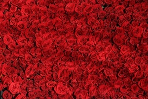 粉色上衣配什么颜色裤子 粉色上衣搭配什么颜色的裤子好看