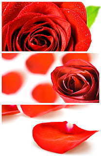 新娘婚房气球装饰图片 新娘们的婚房怎么布置气球哈