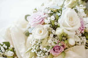 天鹅象征着什么 天鹅代表什么