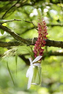 学大课程顾问收入