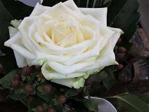 合肥订婚礼金和彩礼