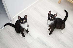 冬天结婚手捧花用鲜花行吗 冬季婚庆可以用哪些鲜花