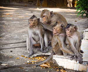结婚时红色大衣搭配