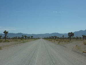 过年给媒人送什么 春节看媒人送什么好