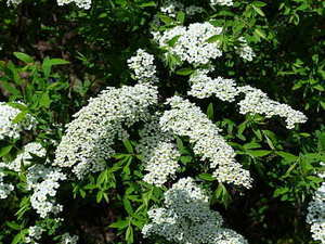 请柬全家怎么称呼 请全家人喝喜酒请帖称呼怎么写