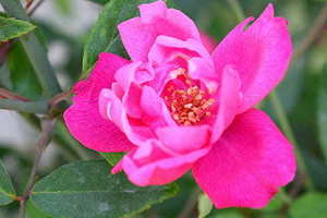 有趣的红包标题给男朋友 怎么给男朋友包红包有创意