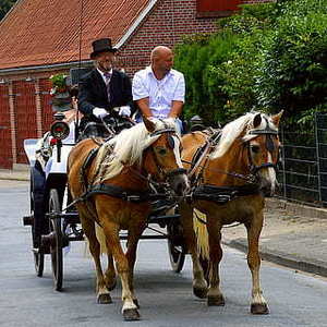 新娘头饰制作 如何制作新娘头饰