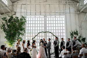 婚车配草有哪些品种 婚车上面都有哪些花和草