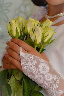 结婚祝福的歌 结婚祝福的歌曲