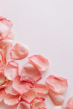 可以穿旗袍拍结婚证照片 结婚证照片可以穿旗袍吗